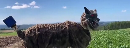 Robotický vlk v Japonsku Foto: cbsnews.com