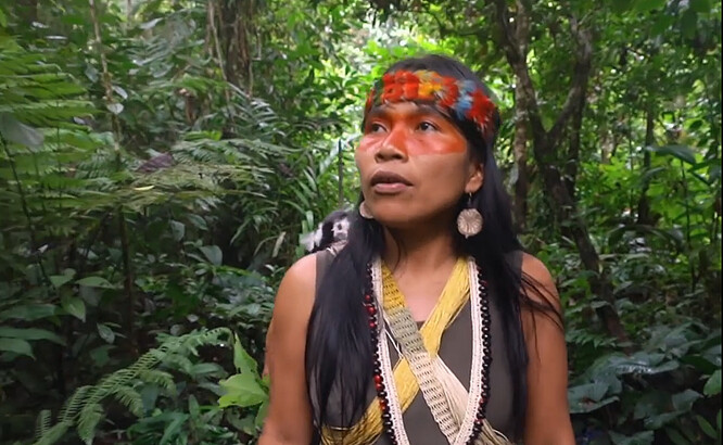 I když Nenquimová vyrostla v části deštného pralesa, kde se ropa netěží, pamatuje si, jak ji otec poprvé vzal za tetami, které žily poblíž ropného vrtu: "Nejdřív jsme jeli kánoí, pak jsme šli pěšky 19 hodin a i když jsme byli od vrtu pořád daleko, slyšela jsem ten hluk. Bylo mi 12 a hluboce to na mě zapůsobilo, vidět plameny a kouř stoupající z vrtu." Tenkrát ji šokoval nejen dopad na životní prostředí, ale i vliv na život domorodých rodin.