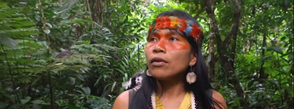 Ekvádorská aktivistka Nemonte Nenquimo Foto: Goldman Environmental Prize / Facebook