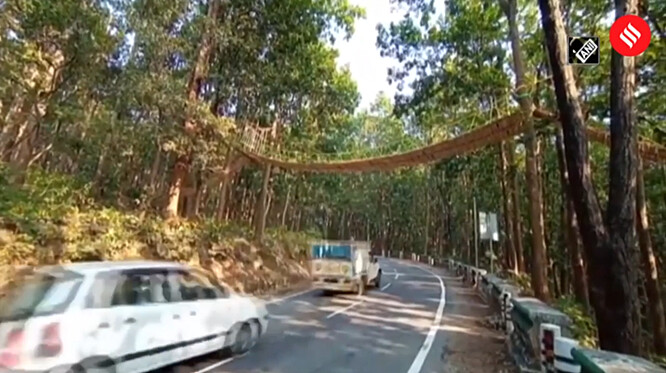 "Je tady hustý les, pohybují se zde sloni, leopardi i jeleni a býci. Ty řidiči vidí z dálky a mohou zpomalit nebo zastavit, ale málokdy to udělají v případě hadů, ještěrek, varanů nebo veverek," citoval zástupce správy list Indian Express.