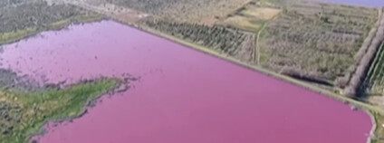 Jezera v Argentině zbarvená do růžova Foto: The National News / youtube.com
