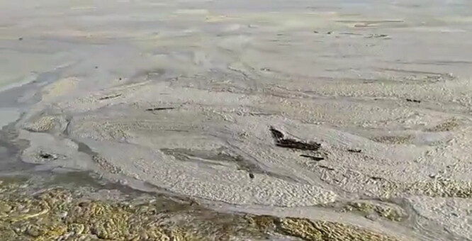 "Potřebujeme novou odpadní politiku, neměli bychom do Marmarského moře vypustit už ani litr odpadu. Moře je bezmocné," dodal děkan fakulty pro výzkum moří Sari. Podle expertů přispívá k přemnožení mikrořas také zvýšení teploty moří, tedy globální oteplování.