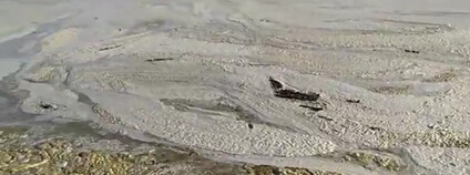 Sliz v Marmanském moři u Istanbulu Foto: Binnaz Toprak Twitter