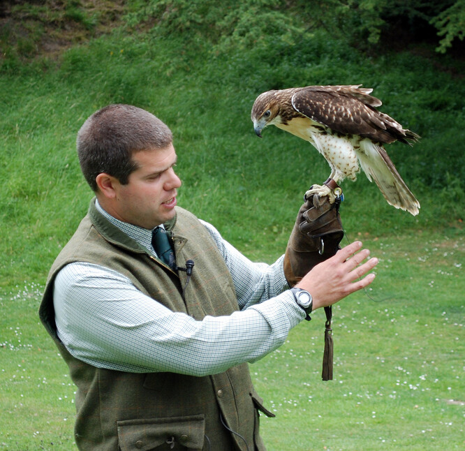 Sokolnictví vzniklo před několika tisíci lety v Asii, největšího rozkvětu dosáhlo ve středověku. Sokolnictví v českých zemích má tradici přes 1500 let. Česko je jedním ze států, které je se sokolnictvím zapsané na seznam UNESCO.