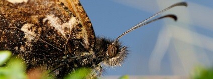 foto: Matt Hill University of Huddersfield