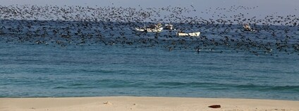 Somálské pobřeží Foto: Heimo Liendl Flickr