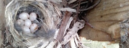 Foto: Karel Zvářal