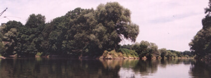 Foto: Stanislav Lusk / archiv autora