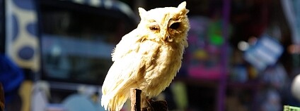 Foto: Andrea Kirkby / Flickr