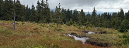 Soví sedlo. Foto: David Krause Správa KRNAP