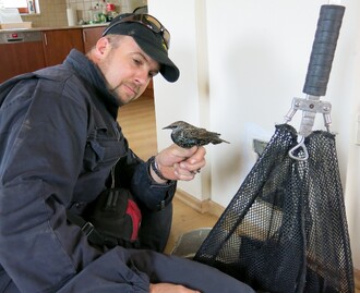 Špaček vysvobozený z krbu