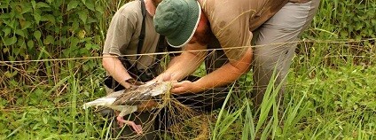 foto: archiv Michala Podhrázského / Safari Park Dvůr Králové