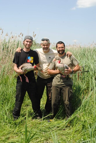 Sledování migrace husy velké.
