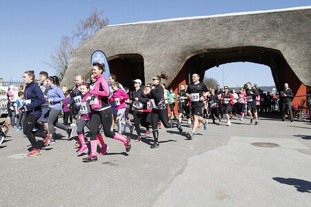 Safariběh 2018 (na obrázku), který byl letos uspořádán na podporu návratu dvorských nosorožců do přírody, přinesl na speciálního konto Wildlife přes 130 000 Kč. Výtěžek z běhu bude věnován na financování transportu několika dvorských nosorožců do národního parku Akagera ve Rwandě. Samotný transport by mohl proběhnout v první polovině příštího roku.