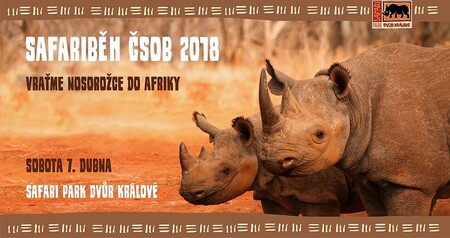 Veškerý výtěžek ze startovného a prodeje dárkových předmětů budě věnován na převoz dvorských nosorožců do národního parku Akagera ve Rwandě, jehož přípravy budou zahájeny v letošním roce. / Na fotografii plakát Safariběhu