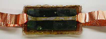 Foto: Amrutur Anilkumar / Vanderbilt University