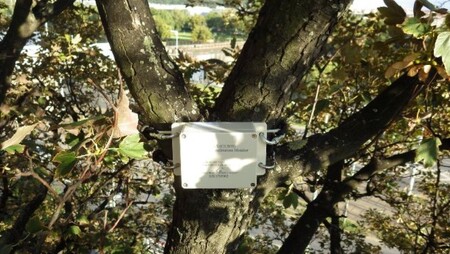 Umístění čidla je navázáno na 2. ročník soutěže Czech IoT Summer Jam, kterou pořádá společnost České Radiokomunikace pro programátory a technologické nadšence. V rámci soutěže se hledají nejlepší nápady, aplikace a konkrétní možnosti pro budoucí využití dat z různých čidel, která měří teplotu, vlhkost, detekují pohyb či mapují polohu.