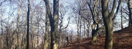 Foto: Jeňýk Hofmeister