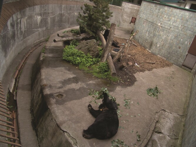 Zoo aktuálně chová přes 400 druhů zvířat, což ji řadí na třetí místo v zemi.