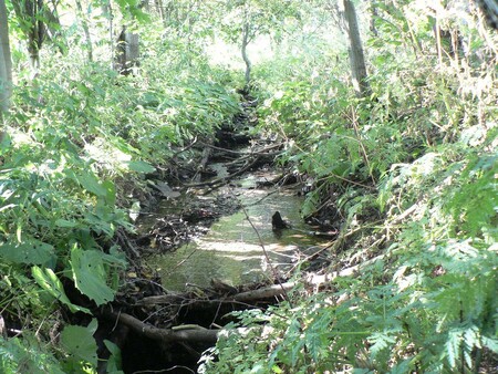 Původní stav potoka v betonovém korytu.