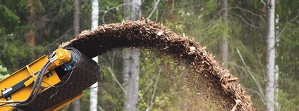 Dřevní štěpka Foto: Asea! Flickr