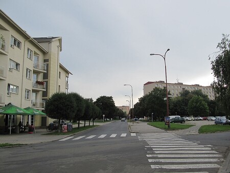 Štěpnice budou krásnější. Ilustrační snímek