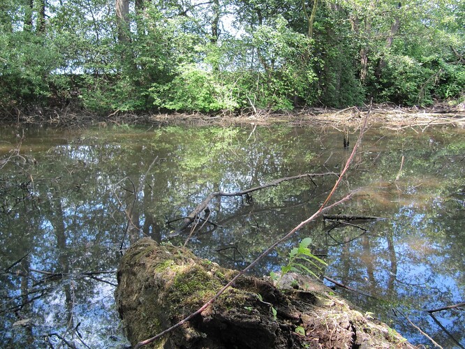 Tabule podle mluvčího kroměřížské radnice Jana Vondráška upozorní také na blízkou a evropsky významnou lokalitu Stonáč.