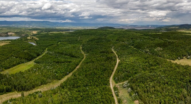 Nově vytvořený ptačí park Střimická výsypka bude svým jménem navždy připomínat zničenou obec Střimice.