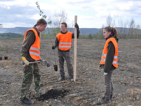 Studenti ukázali, že se práce nebojí a 257 sazenic bylo zasazeno během pár hodin
