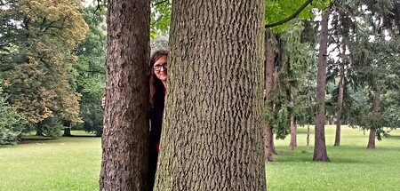 Lumíre, děkujeme velice.