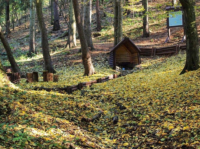 Ilustrační snímek.