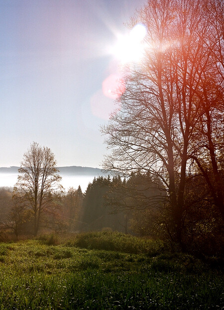 Senátní návrh zákona o Šumavě kritizují ekologičtí aktivisté. Unikátní šumavská příroda by podle nich mohla být nakonec méně chráněná, než je ta mimo národní park