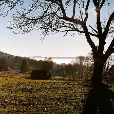 Senátorský klub občanských demokratů se neshoduje s požadavkem petice, která chce co nejdříve ponechat 30 procent území parku jako bezzásahové a v roce 2030 uzákonit ochranu divoké přírody na polovině rozlohy parku