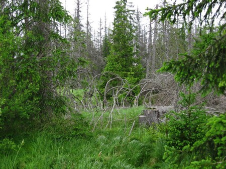 Soud připomněl, že v obecné rovině přistupuje k účasti ekologických spolků ve správních řízeních vstřícně. Cílem je umožnit co nejširší účast veřejnosti v řízeních, při nichž mohou být skutečně dotčeny zájmy ochrany přírody a krajiny.