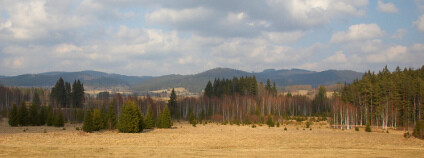 Šumava na jaře. Foto: Tor Lillqvist Flickr