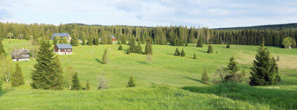 foto: Šumava / Kajano / Shutterstock