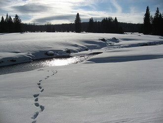 Podle právníka Vojtěcha Stejskala je plzeňský dokument nekoncepční a nevyvážený, porušuje systematiku práva životního prostředí, obsahuje četné chyby a používá pojmy, které platný právní řád nezná, aniž by je nově definoval