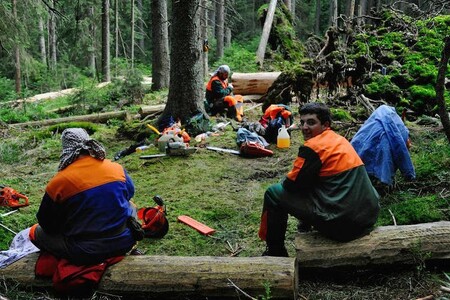 Senát by měl podle svých výborů podpořit požadavky petice, která chce zákonem umožnit zásahy v lesích NP Šumava s cílem zabránit vysychání krajiny. Ilustrační snímek dřevorubců v šumavském lese