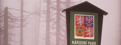 Foto: Daniel Zimmel / Flickr