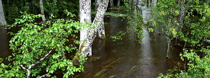 Povodně na Šumavě 2013. Foto: Jiří Mánek/Správa NP Šumava