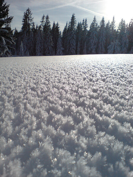 Podle Jaromíra Bláhy z Hnutí Duha poslanci podpořili návrh zákona, jehož cílem je zrušit největší a nejcennější národní park