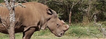 foto: Jan Stejskal / Ekolist.cz