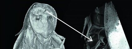 Foto: Slovenská akademie věd