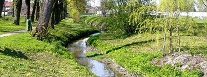 Potok Švarcava v Přelouči Foto: Railfort Wikimeda Commons