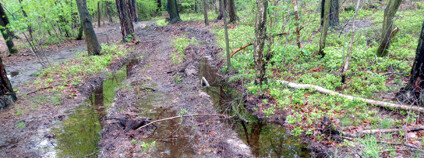 Foto: Pavel Jeřábek / archiv autora