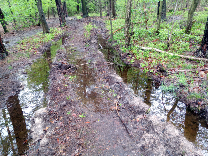 Vodu je na místě zadržet v lese.