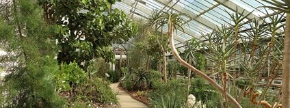 Expozice Svět sucha v plzeňské zoo Foto: FB ZOO Plzeň