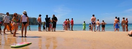 Foto: Rod Cuthbert / Flickr