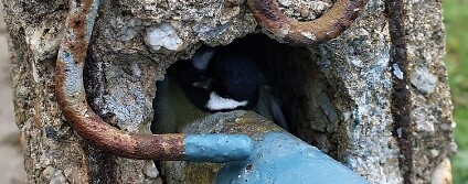 Foto: Karel Makoň / DESOP - Záchranná stanice živočichů Plzeň