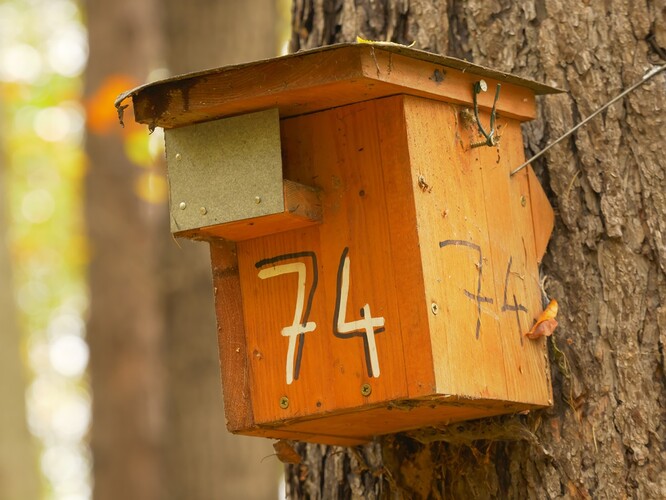 Bezpečný sýkorník